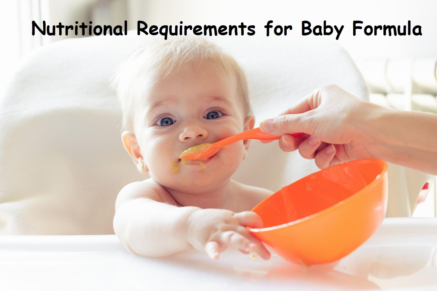 nutritional requirements for baby formula